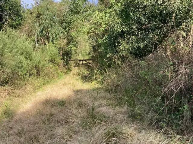 Terreno venda em Região Geográfica Imediata de Curitiba, Região Metropolitana de Curitiba