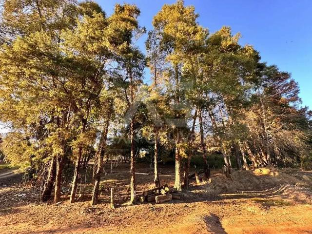 Terreno venda em Região Imediata de Sorocaba, Região Metropolitana de Sorocaba