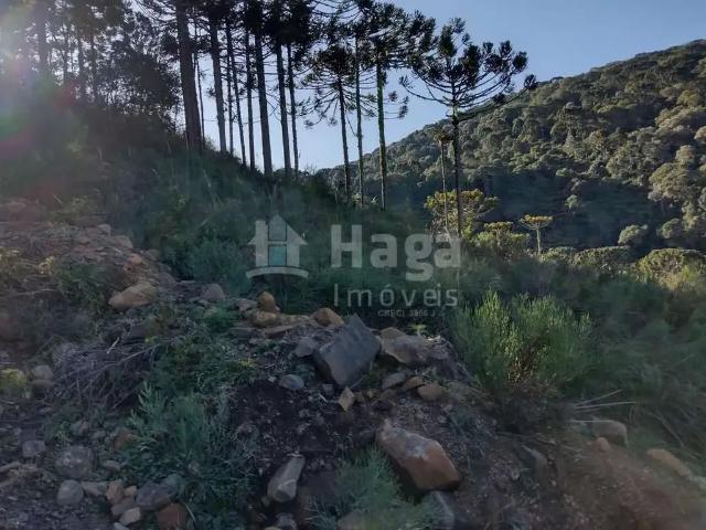 Terreno venda em Região Geográfica Imediata de Lages, Bom Jardim da Serra