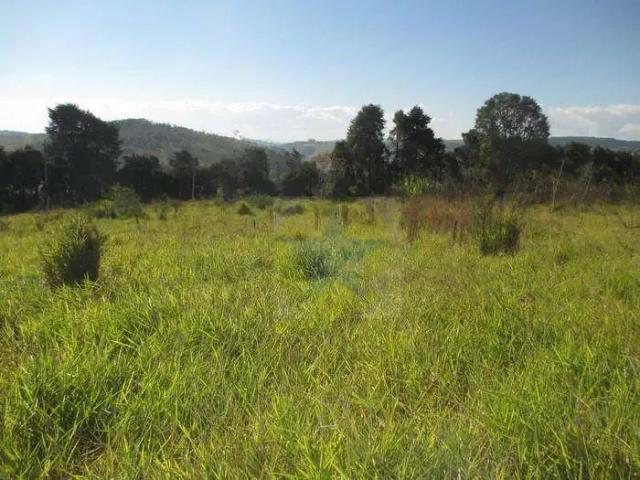 Terreno venda em Região Imediata de Amparo, Serra Negra