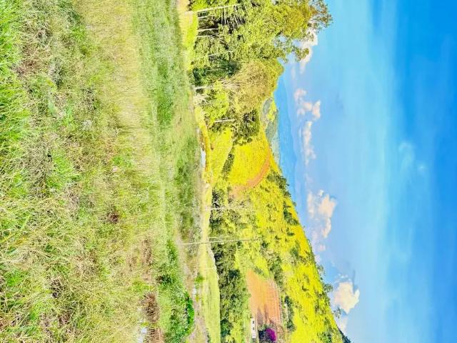Terreno venda em Região Geográfica Imediata de Pouso Alegre, Bom Repouso