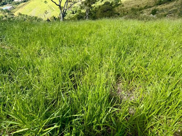 Terreno venda em Bom Repouso, Região Geográfica Intermediária de Pouso Alegre