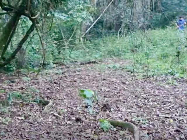 Terreno venda em Bom Repouso, Região Geográfica Intermediária de Pouso Alegre