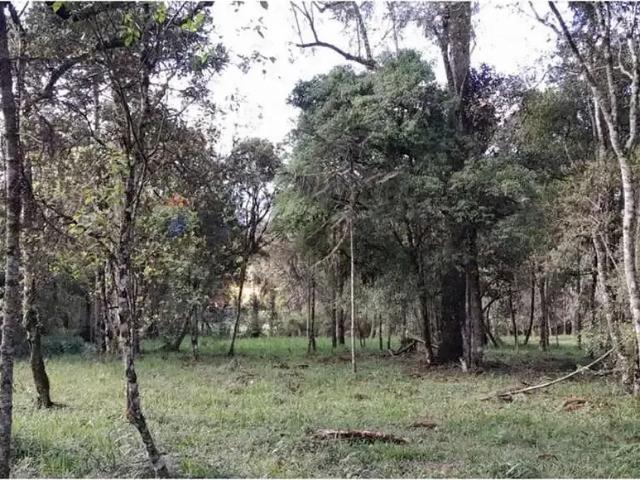 Terreno venda em Região Geográfica Imediata de Lages, Bom Retiro