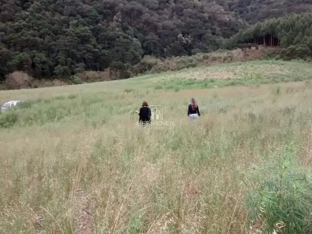 Terreno venda em Região Geográfica Imediata de Lages, Bom Retiro