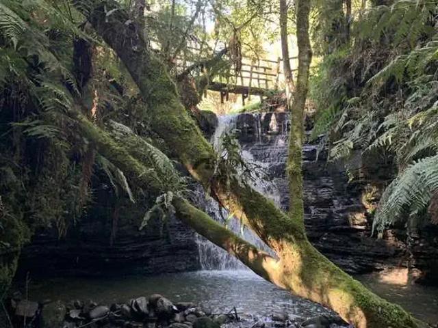 Terreno venda em Região Geográfica Imediata de Lages, Bom Retiro