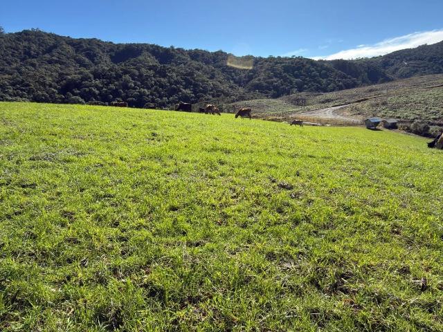 Terreno venda em Bom Retiro, Região Geográfica Intermediária de Lages