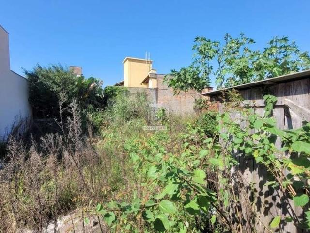 Terreno venda em Bombinhas, José Amândio
