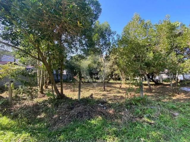 Terreno venda em Região Geográfica Imediata de Itajaí, Bombinhas