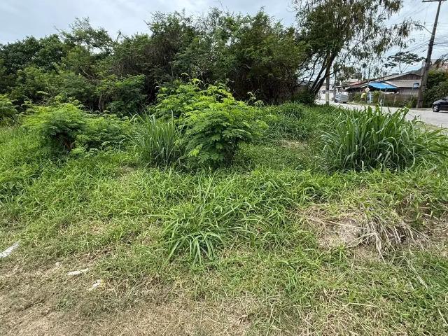 Terreno venda em Região Geográfica Imediata de Itajaí, Bombinhas