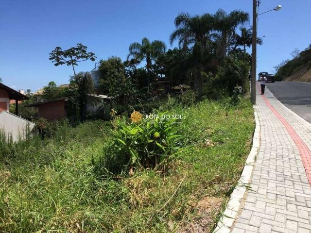Terreno venda em Bombinhas, José Amândio