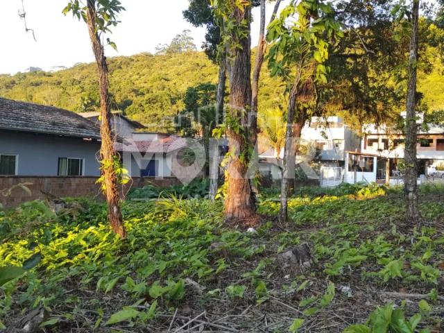Terreno venda em Região Geográfica Imediata de Itajaí, Bombinhas