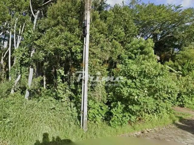 Terreno venda em José Amândio, Bombinhas