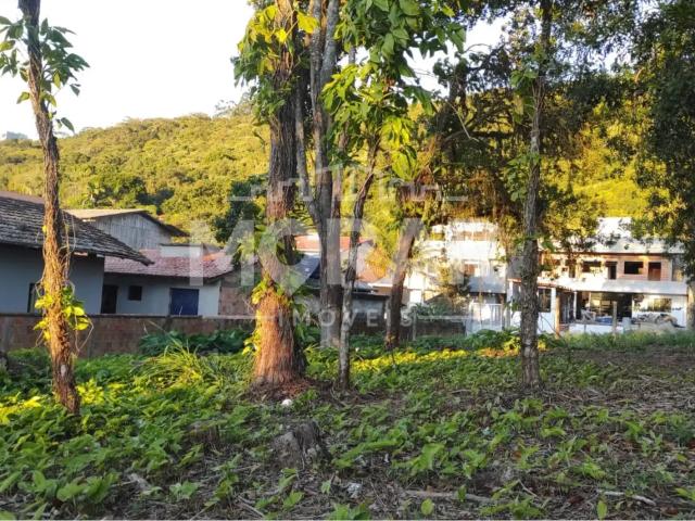 Terreno venda em José Amândio, Bombinhas