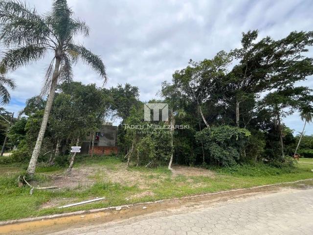 Terreno venda em Bombinhas, Mariscal