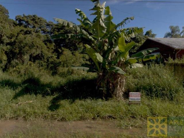 Terreno venda em Região Geográfica Imediata de Itajaí, Bombinhas