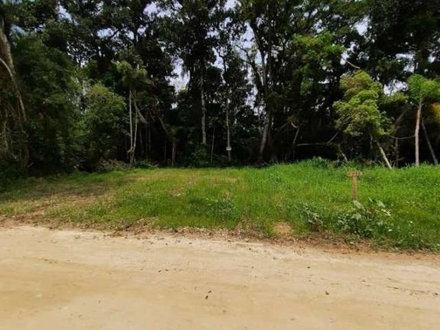 Terreno venda em Bombinhas, Mariscal