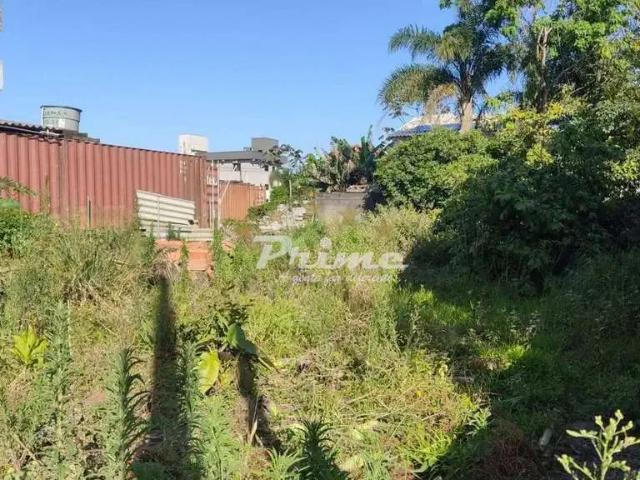 Terreno venda em Região Geográfica Imediata de Itajaí, Bombinhas