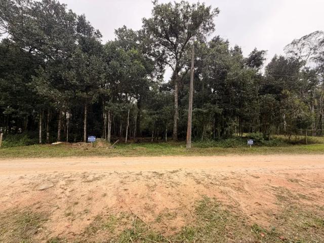 Terreno venda em Região Geográfica Imediata de Itajaí, Bombinhas
