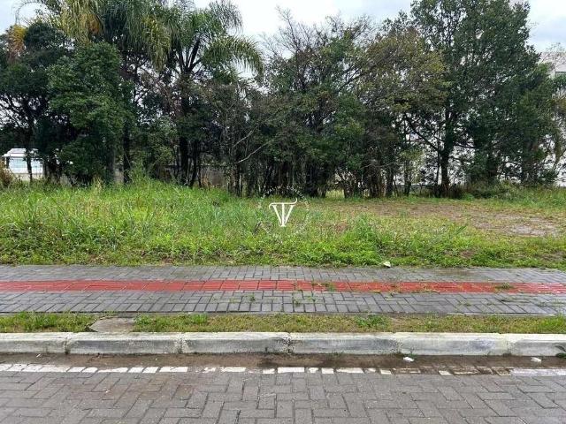 Terreno venda em Bombinhas, Mariscal