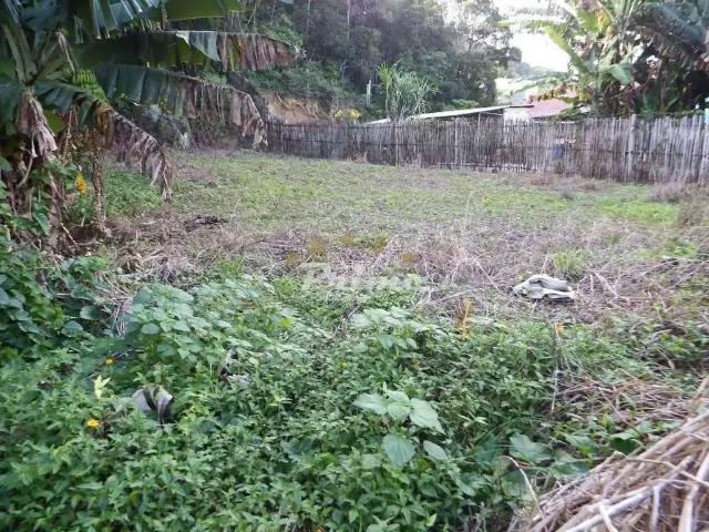 Terreno venda em Região Geográfica Imediata de Itajaí, Bombinhas