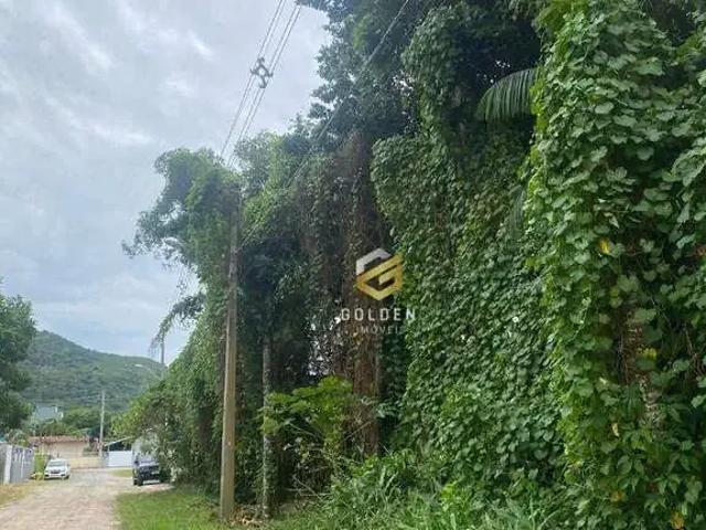 Terreno venda em Bombinhas, José Amândio