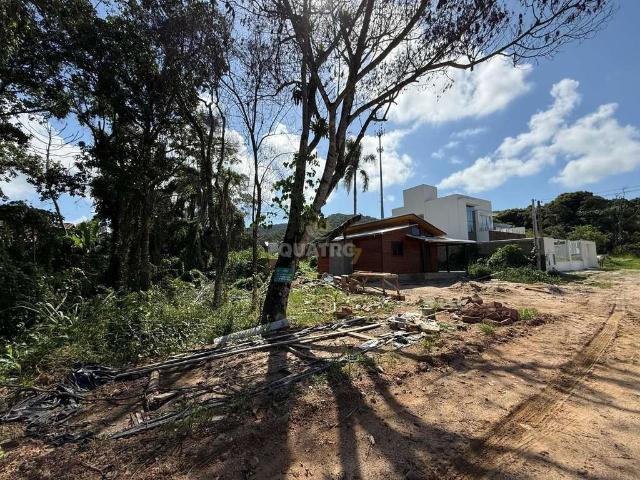 Terreno venda em Bombinhas, Zimbros
