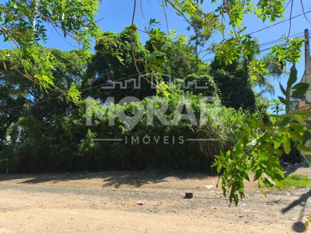 Terreno venda em Região Geográfica Imediata de Itajaí, Bombinhas