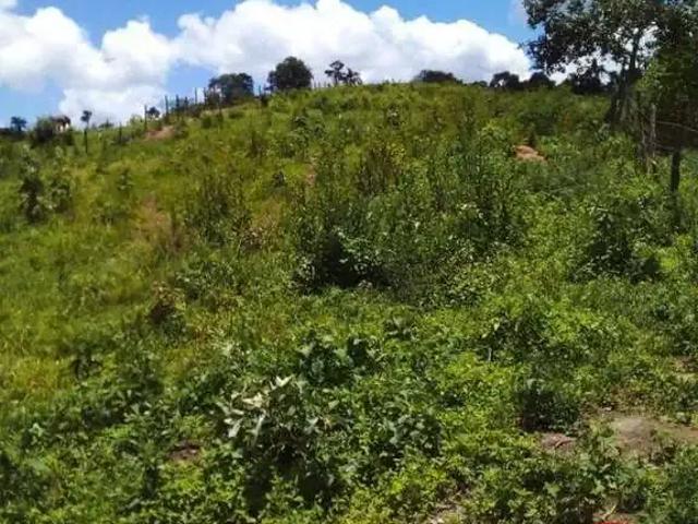 Terreno venda em Centro, Bonfim