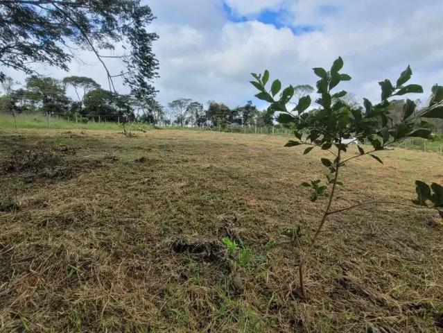 Terreno venda em Região Geográfica Imediata de Oliveira, Bonfim