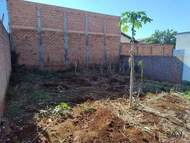 Terreno venda em Região Imediata de Botucatu, Botucatu
