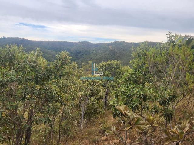 Terreno venda em Setor Leste, Gama