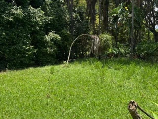 Terreno venda em Park Way Quadra 08, Park Way
