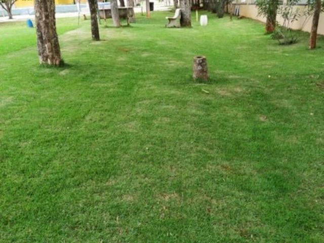Terreno venda em Vila Roriz, Gama