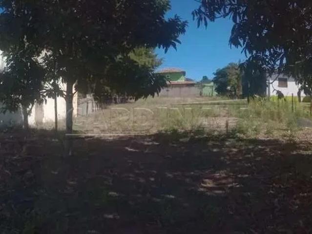 Terreno venda em Brotas