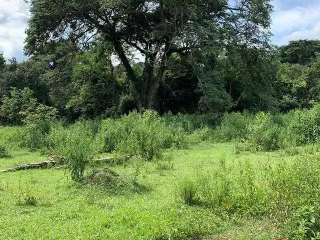 Terreno venda em Região Geográfica Imediata de Belo Horizonte, Região Metropolitana de Belo Horizonte