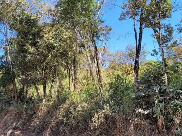 Terreno venda em Córrego Fundo, Região Geográfica Intermediária de Divinópolis