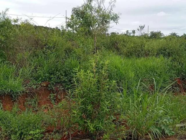 Terreno venda em Região Geográfica Imediata de Belo Horizonte, Região Metropolitana de Belo Horizonte