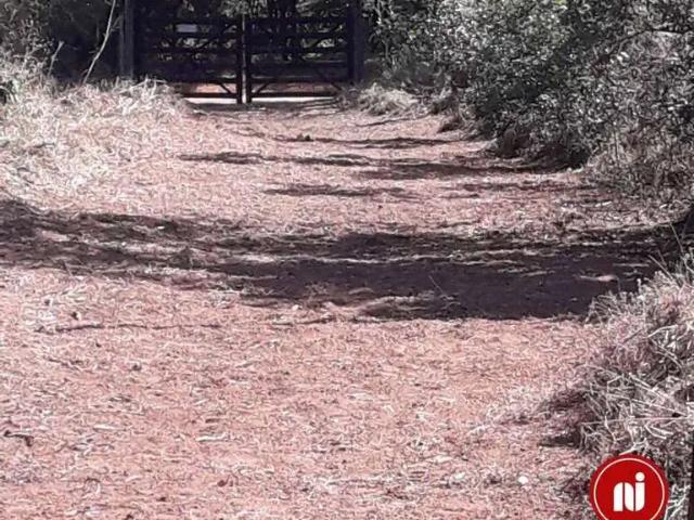 Terreno venda em Regina Célia, Brumadinho