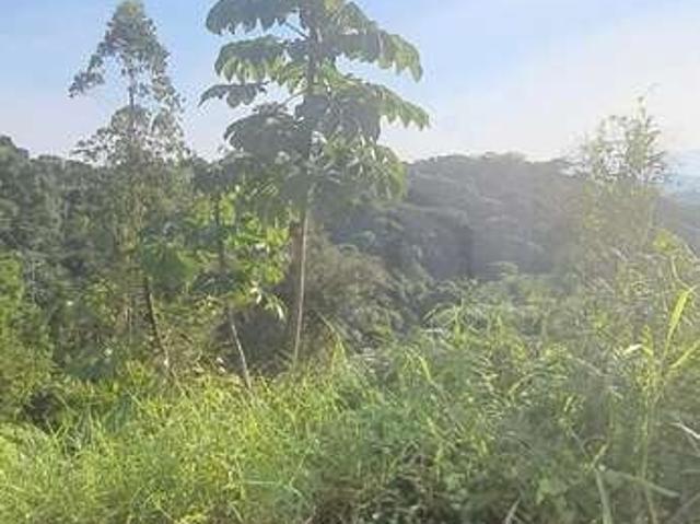 Terreno venda em Região Geográfica Imediata de Brusque, Brusque