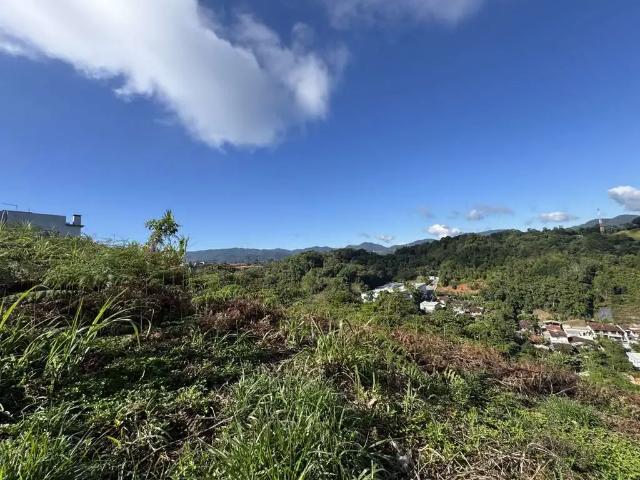Terreno venda em Região Geográfica Imediata de Brusque, Brusque