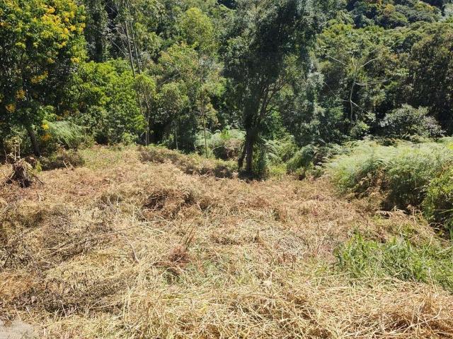 Terreno venda em Região Geográfica Imediata de Brusque, Brusque