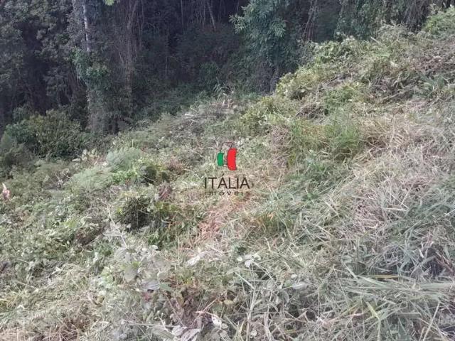 Terreno venda em Região Geográfica Imediata de Brusque, Brusque