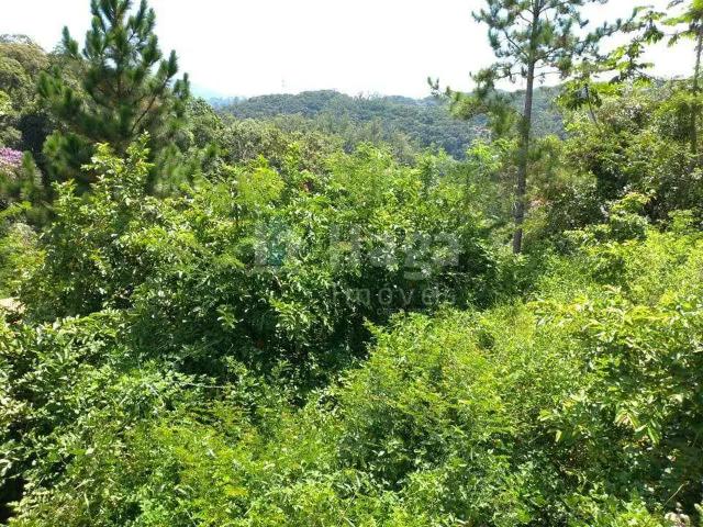Terreno venda em Região Geográfica Imediata de Brusque, Brusque
