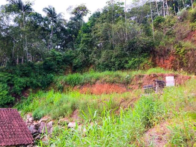 Terreno venda em Região Geográfica Imediata de Brusque, Brusque