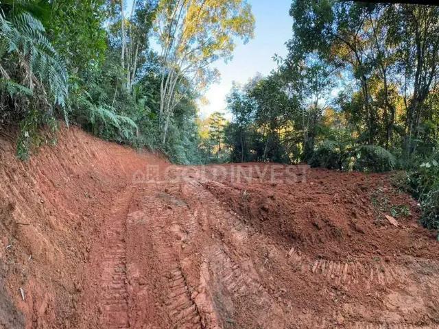 Terreno venda em Região Geográfica Imediata de São Miguel do Oeste, São José do Cedro