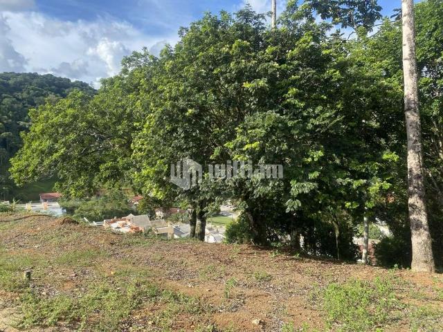Terreno venda em Região Geográfica Imediata de Brusque, Brusque