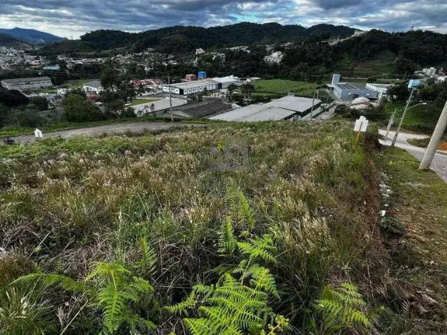 Terreno venda em Dom Joaquim, Brusque