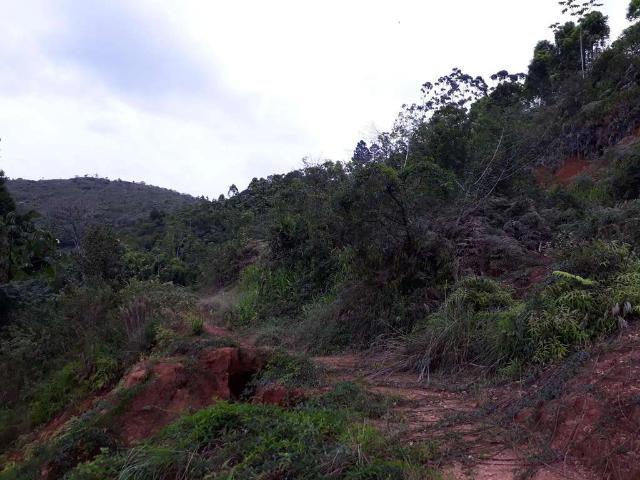 Terreno venda em Dom Joaquim, Brusque