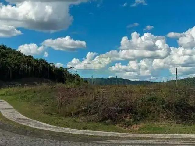 Terreno venda em Cedro Alto, Brusque